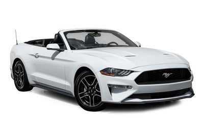 2019 Ford Mustang EcoBoost Premium