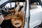 2019 Porsche Cayenne Base