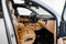 2019 Porsche Cayenne Base